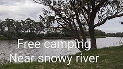 Free camping near snowy river###Marlo###VIC###Travel Australia