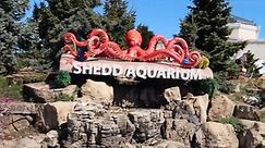 Shedd Aquarium - Commercial Cleanout
