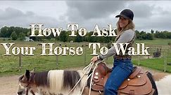 How To Ask Your Horse To Walk - Riding Lessons For Beginners