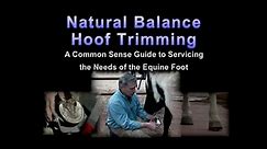 Natural Balance Hoof Trimming for Horses