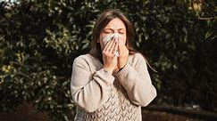 How much worse is this year's hay fever season compared to last year?