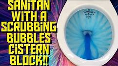 The sanitan with a scrubbing bubbles cistern block!!