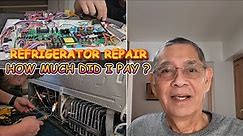 Vlog#194 Fridge Repair Cost