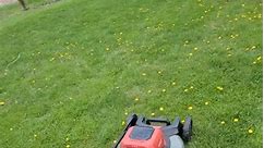 Best cordless mower ever! #milwaukee #milwaukeetool #m18 #m18fuel #grass #lawn #Lawnmower #lawncare #landscaper #landscaping #lawncare #cordless | C. Bonnie