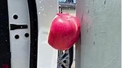 Beautcar shop - 🚗Our door edge guards prevent dents,...