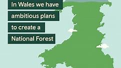 National Forest for Wales