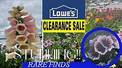 LOWES Clearance Plants ( RARE FINDS) Pt. 5| Plant Shopping With Me.