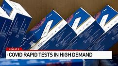 Industrial material supplier selling Covid rapid tests