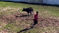 Insane Bull Riding Encounter! Hilarious Chase Surprise