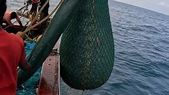 Amazing Big Fishing | Fish Catch in Deep Sea Fishing | Kadal