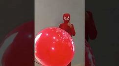Giant 3ft Balloon Pop (in Slow Motion) - Slow Mo Lab - Giant balloon pop with blurre