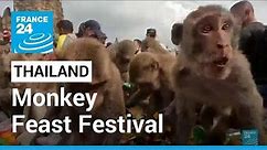Monkeys in central Thailand city mark their day with feast • FRANCE 24 English