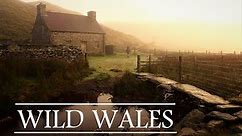 WILD WALES | A 500km hike across Wales inspired by the Cambrian Way