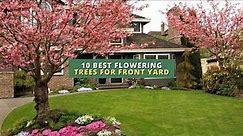 10 Best Flowering Trees for Front Yard 🌳🌸🏠