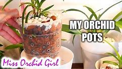 Orchid pots and containers | Orchid setup explained