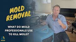 What Do Mold Professionals Use To Kill Mold?