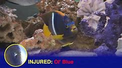 FishCenter - Here's your FishCenter Injury Report for the...