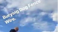 How We Install Our Invisible Dog Fence Wires. Call us today for a FREE Dog Fence Info Pack. #Thedogline #Petbarrier #dogfence #electricdogfence | The Dog Line