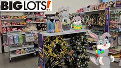 BIG LOTS SHOP WITH ME WALKTHROUGH NEW FINDS