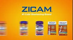 Zicam Cold Remedy Zinc RapidMelts, Cherry Flavor, Homeopathic, Cold Shortening Medicine, Shortens Cold Duration, 25 Count (Pack of 2)