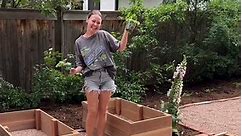 I built these cedar garden boxes earlier in the week with my dad & today i woke up at 6am to fill them with veggies 👩‍🌾!! this is definitely my favorite part of our backyard transformation 💚 #vegetablegarden #vegetablegardening #veggiegarden #gardenproject #gardentok #gardendiy #gardenbox #raisedgardenbed #backyardgarden