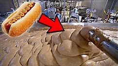 Hotdogs | HOW IT'S MADE