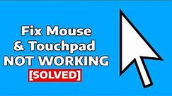 How to Fix Mouse/Touchpad Not Working On Windows 11/10 Laptop or Desktop