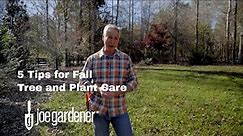 How to Take Care of Your Plants and Trees in Fall