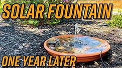 DIY Mini Solar Powered Garden Fountain One Year Update