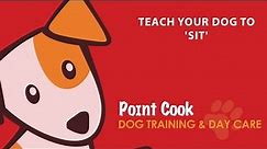 Teach your dog to 'sit'