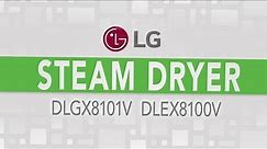 LG Mega Capacity Steam Dryer - DLGX8101V DLEX8100V