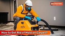 DIY Tips to Remove Mold from Carpets and Furniture