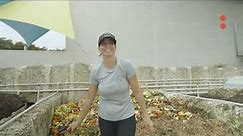 Opportunity Miami Video: Fertile Earth Worm Farm -Turning food waste into soil in Miami