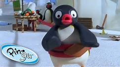 Pingu Gets Carried Away! | Pingu Official | 1 Hour | Cartoons for Kids