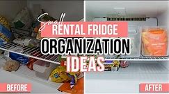 BEST! EXTREME REFRIGERATOR ORGANIZATION IDEAS 2021 | Tips for Organizing a SMALL Rental Fridge!