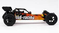 RED CAT /BSD BS709R 1:10 Brushless remote control Baja