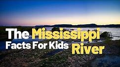 Exploring the Mississippi River Delta: Discovering Wetlands and Coastal Habitats for Kids