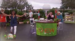 The Best of The Chew from Walt Disney World 2017