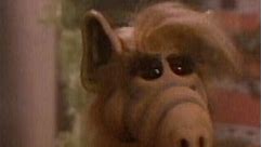 Laff - Don't have a gift? Take notes from #Alf 😂✍️...