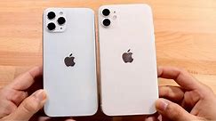 iPhone 12 Pro Vs iPhone 11! (Size Comparison)