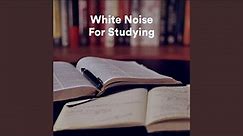 Studying White Noise