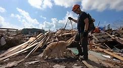 Hurricane Dorian: BC rescue crews join grim search for dead