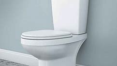 Kohler Toilet Running Intermittently or Leaking Water - Toilet Haven