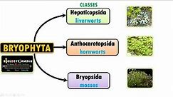Classification of Bryophytes|| Characteristics of Liverworts, Hornworts and Mosses