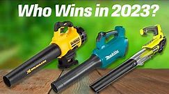 Best Cordless Leaf Blowers 2023 [don’t buy one before watching this]