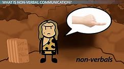 Non-Verbal Communication: Examples, Types & Definition