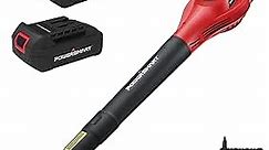 PowerSmart 20V Leaf Blower, with 2x2.0 Ah Battery and Charger, Lightweight Cordless Blower
