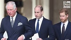 Prince Harry, Prince William need an intervention to end feud: expert