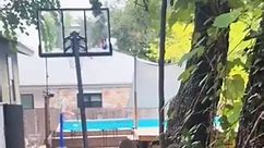 Dog Jumps Onto Bird Feeder Fountain and Relaxes in It