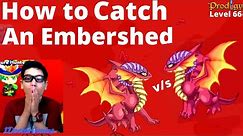 How to catch a level 66 Embershed in Prodigy Math Game?? The Intense Battle: Embershed VS Embershed